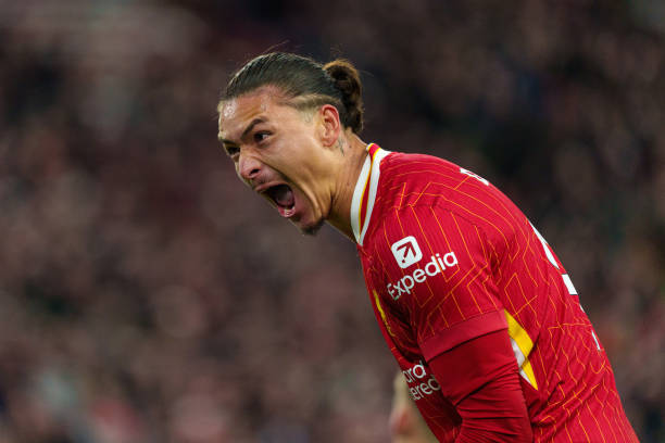 提供了重要 提供了重要