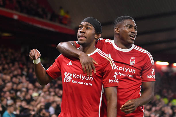 的指导下 的指导下