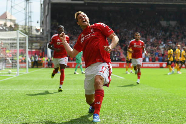 这恰恰是鲍 这恰恰是鲍